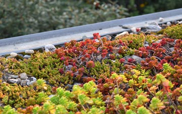 the cost of Kinveachy green roof installation