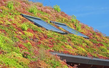 Kinveachy living roof systems